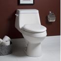 Picture of  Fairfield™ Elongated One-Piece Toilet with Seat