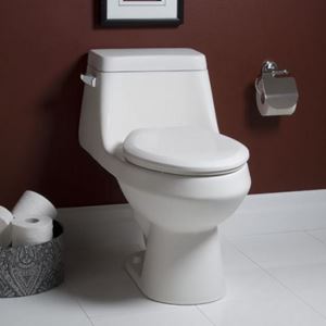 Picture of  Fairfield™ Elongated One-Piece Toilet with Seat
