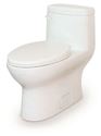 Picture of  21-019 Avalanche CT 1.28gpf One-Piece Toilet 