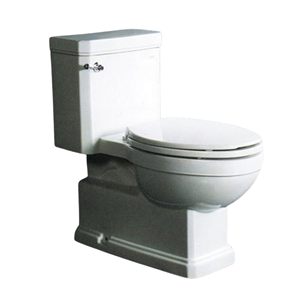 Picture of 31100 1-PIECE TOILET