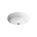 Picture of K-2881-0 Verticyl® Oval Undermount Sink
